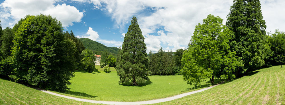 Rimske Terme - Hotel Zdraviliski Dvor Rimske Toplice Eksteriør billede